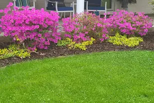 7030 N Maple Dr, Coloma, MI 49038 - Photo 63