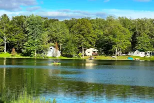 7364 N Central Ave, Brohman, MI 49312 - Photo 57