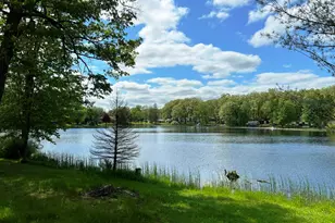 7364 N Central Ave, Brohman, MI 49312 - Photo 59