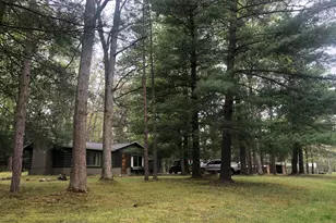 7139 W 5 Mile Rd, Irons, MI 49644 - Photo 27