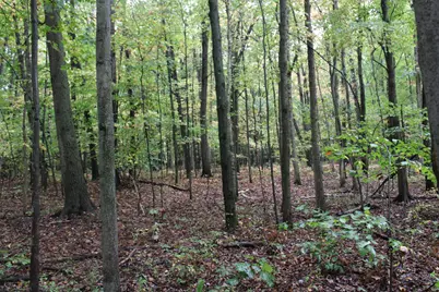 0Vl S Mason Road, Ashley, MI 48806 - Photo 19