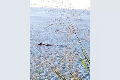 3170 Wild Dunes Path, Stevensville, MI 49127 - Photo 39