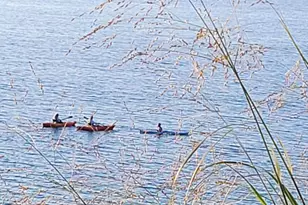 3170 Wild Dunes Path, Stevensville, MI 49127 - Photo 39