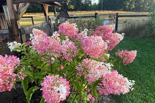 18939 I-Drive N, Marshall, MI 49068 - Photo 51