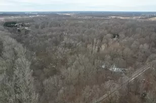 1254 Burbank Rd, Quincy, MI 49082 - Photo 43