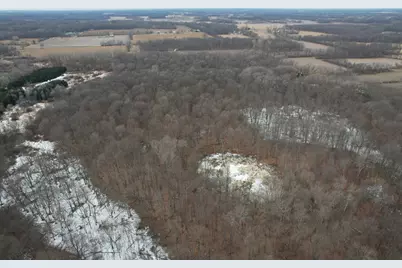 1254 Burbank Road, Quincy, MI 49082 - Photo 43