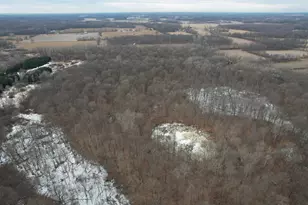 1254 Burbank Rd, Quincy, MI 49082 - Photo 43