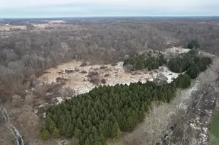 1254 Burbank Rd, Quincy, MI 49082 - Photo 35