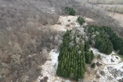 1254 Burbank Road, Quincy, MI 49082 - Photo 37