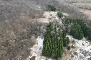 1254 Burbank Rd, Quincy, MI 49082 - Photo 37