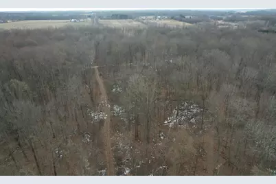 1254 Burbank Road, Quincy, MI 49082 - Photo 41