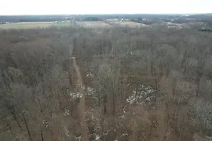 1254 Burbank Rd, Quincy, MI 49082 - Photo 41