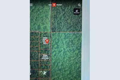 10717 N Java Road, Irons, MI 49644 - Photo 1