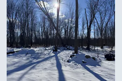 479 Grass Lake Road, Coldwater, MI 49036 - Photo 5