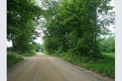 0 E Bear Road, Hillsdale, MI 49242 - Photo 3