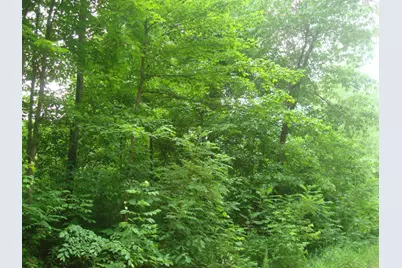 0 E Bear Road, Hillsdale, MI 49242 - Photo 5