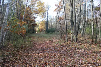 401A S Bass Lake Avenue, Harrison, MI 48625 - Photo 69