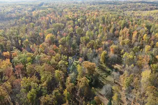 401A S Bass Lake Ave, Harrison, MI 48625 - Photo 83