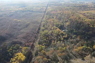 401A S Bass Lake Ave, Harrison, MI 48625 - Photo 79