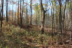 401A S Bass Lake Ave, Harrison, MI 48625 - Photo 61