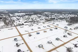 47805 Silver Oaks W, Mattawan, MI 49071 - Photo 57