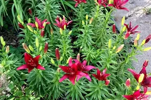 852 Innes St NE, Grand Rapids, MI 49503 - Photo 25