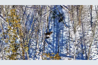 3435 18 Mile Road NE, Cedar Springs, MI 49319 - Photo 13