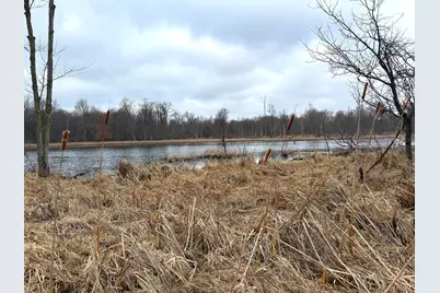 448 N Batavia Road, Coldwater, MI 49036 - Photo 57