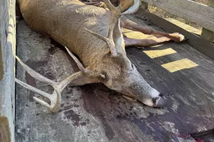 448 N Batavia Rd, Coldwater, MI 49036 - Photo 47