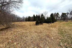 448 N Batavia Rd, Coldwater, MI 49036 - Photo 59