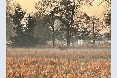 448 N Batavia Road, Coldwater, MI 49036 - Photo 53