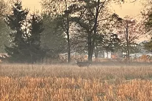 448 N Batavia Rd, Coldwater, MI 49036 - Photo 53