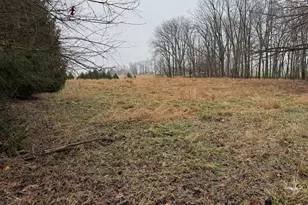 448 N Batavia Rd, Coldwater, MI 49036 - Photo 45