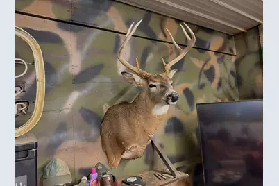 448 N Batavia Road, Coldwater, MI 49036 - Photo 37