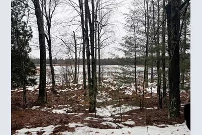 00 Vl Poplar Avenue, Bitely, MI 49309 - Photo 11