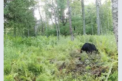 00 Vl Poplar Avenue, Bitely, MI 49309 - Photo 7