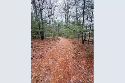 00 Vl Poplar Avenue, Bitely, MI 49309 - Photo 9