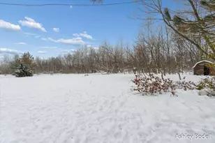 14151 Shaner Ave NE, Cedar Springs, MI 49319 - Photo 39