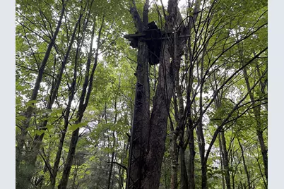 11845 E 24th Street, Reed City, MI 49677 - Photo 47