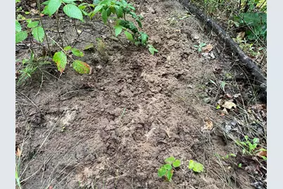 11845 E 24th Street, Reed City, MI 49677 - Photo 25