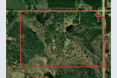 11845 E 24th Street, Reed City, MI 49677 - Photo 3