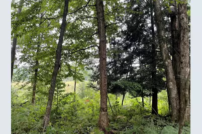 11845 E 24th Street, Reed City, MI 49677 - Photo 51