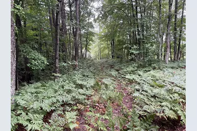 11845 E 24th Street, Reed City, MI 49677 - Photo 49