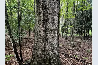 11845 E 24th Street, Reed City, MI 49677 - Photo 41