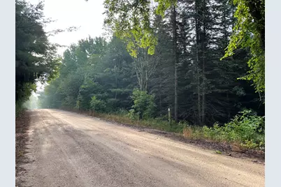 11845 E 24th Street, Reed City, MI 49677 - Photo 5