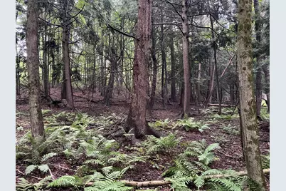 11845 E 24th Street, Reed City, MI 49677 - Photo 43