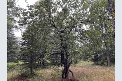 11845 E 24th Street, Reed City, MI 49677 - Photo 37