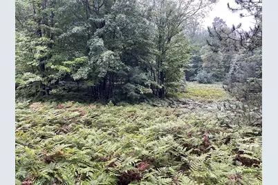 11845 E 24th Street, Reed City, MI 49677 - Photo 35