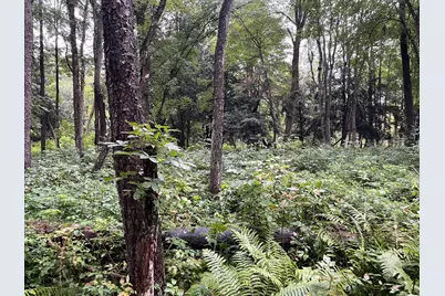 11845 E 24th Street, Reed City, MI 49677 - Photo 45