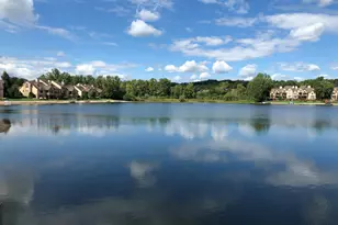 18269 Blue Heron Dr E, Northville, MI 48168 - Photo 61